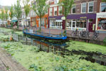 2010-08-22_19-53-12_DSC_0094.jpg