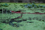 2010-08-22_20-54-43_DSC_0176.jpg