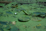 2010-08-22_20-55-04_DSC_0179.jpg