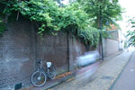 2010-08-22_20-59-45_DSC_0185.jpg