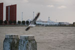 2010-08-24_19-31-38_DSC_0514.jpg