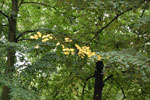 2010-08-25_19-38-22_DSC_0686.jpg