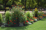 2010-08-27_15-34-04_DSC_0827.jpg