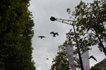 2010-08-27_18-33-08_DSC_1106.jpg