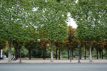 2010-08-27_19-19-58_DSC_1142.jpg