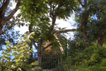 2010-08-28_19-22-50_DSC_1242.jpg
