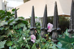 2010-08-28_19-24-05_DSC_1244.jpg