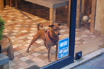 2010-08-28_19-39-50_DSC_1249.jpg