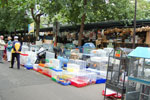 2010-08-29_18-00-14_DSC_1459.jpg