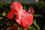 2010-09-04_17-56-09_DSC_1637.jpg