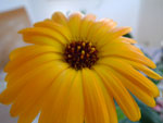 2010-09-06_16-16-22_IMGP3130.jpg