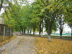 2010-09-20_17-25-51_IMGP3270.jpg