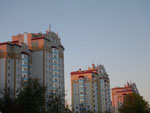 Photos