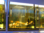 2010-09-26_16-08-35_DSCF0105.jpg