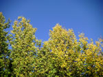 2010-09-26_16-46-44_DSCF0137.jpg