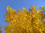 2010-09-26_16-51-32_DSCF0142.jpg