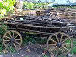 2010-09-26_17-16-59_DSCF0156.jpg