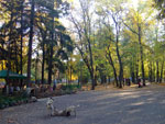 2010-09-26_17-38-08_DSCF0158.jpg