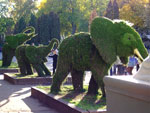2010-09-26_17-52-40_DSCF0160.jpg