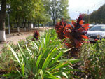 2010-09-30_14-25-05_IMGP3371.jpg