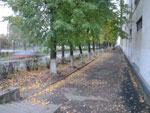 2010-09-30_19-20-34_IMGP3373.jpg