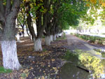 2010-10-01_11-12-11_DSCF0174.jpg