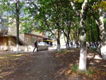2010-10-01_11-12-23_DSCF0175.jpg