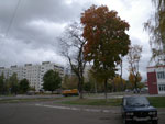 2010-10-12_14-27-04_IMGP3575.jpg