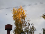 2010-10-12_18-07-45_IMGP3576.jpg