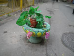 2010-10-18_14-23-28_IMGP3686.jpg