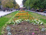 2010-10-18_15-24-34_DSCF0467.jpg