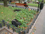 2010-10-18_15-32-17_IMGP3712.jpg