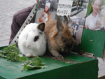 2010-10-18_15-40-07_IMGP3715.jpg
