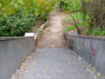 2010-10-18_16-15-56_DSCF0500.jpg