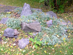 2010-10-21_15-03-00_DSCF0586.jpg