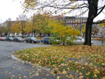 2010-10-25_13-44-01_IMGP3906.jpg