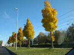 Photos