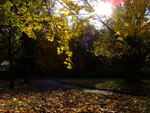 2010-10-28_15-41-27_DSCF0665.jpg