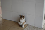 2010-11-13_14-40-25_DSC_1707.jpg