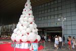 2010-11-13_16-38-54_DSC_1795.jpg