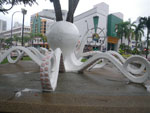 2010-11-14_17-02-41_IMGP4203.jpg