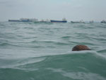 Photos