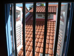 2010-11-16_10-06-41_IMGP4279.jpg