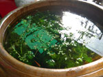 2010-11-19_15-31-57_IMGP4399.jpg