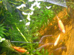 2010-11-19_15-32-28_IMGP4400.jpg