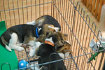 2010-11-20_16-28-13_DSC_1843.jpg