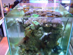2010-11-20_16-29-54_DSCF0937.jpg