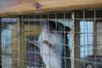 2010-11-20_16-31-21_DSC_1845.jpg