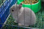 2010-11-20_16-40-15_DSC_1866.jpg