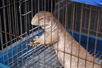 2010-11-20_16-44-18_DSC_1877.jpg